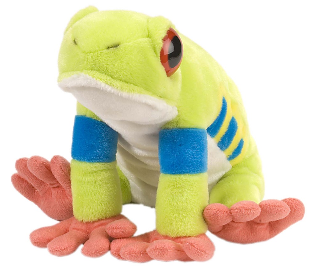 [53143] Ck Red Eyed Tree Frog