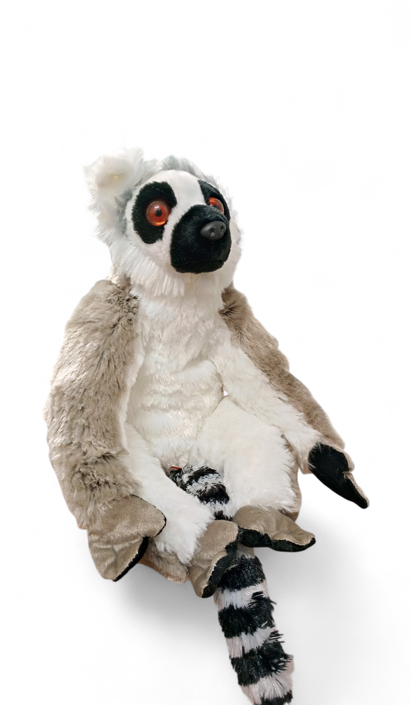 [53144] Ck Ring Tailed Lemur