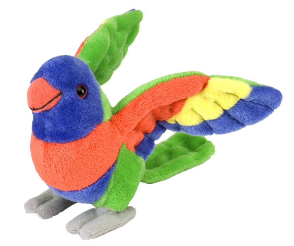 Ck-Mini Lorikeet 8
