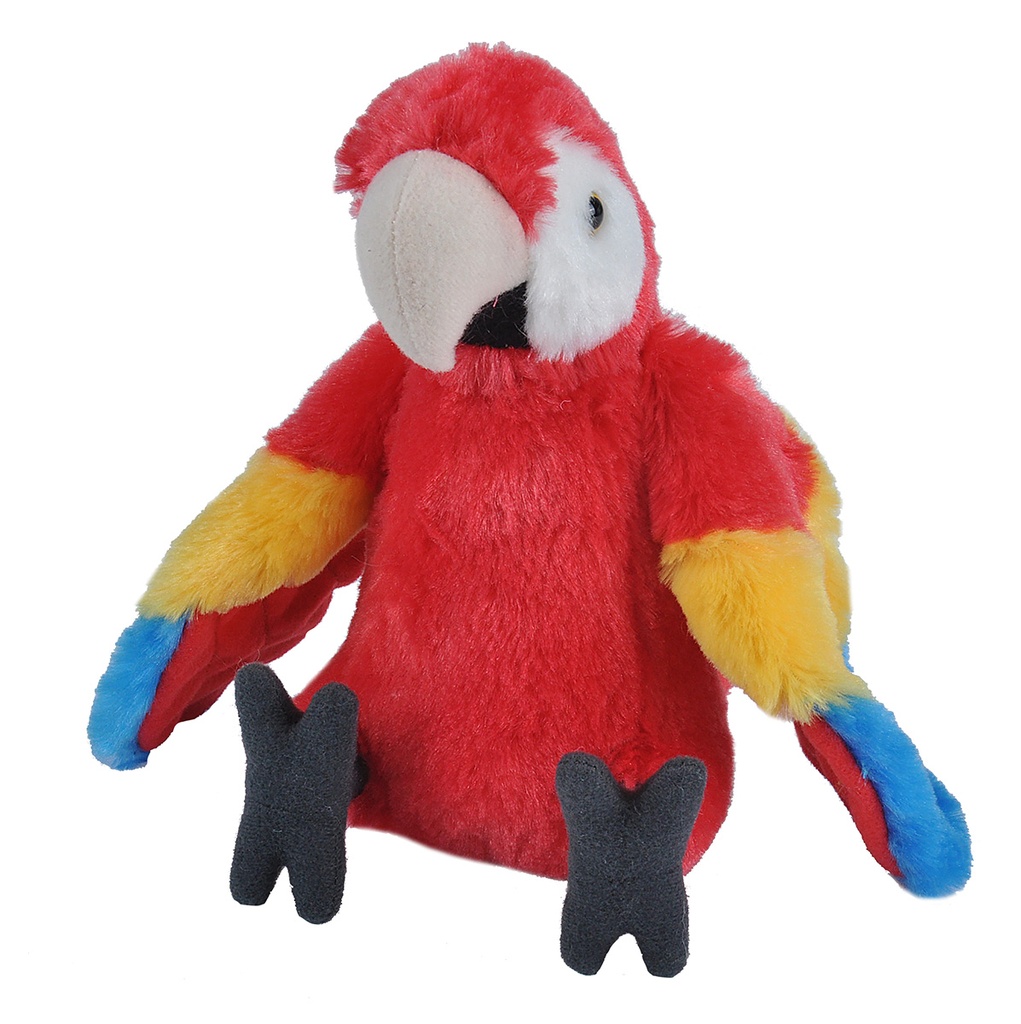 Ck Macaw Scarlet 12