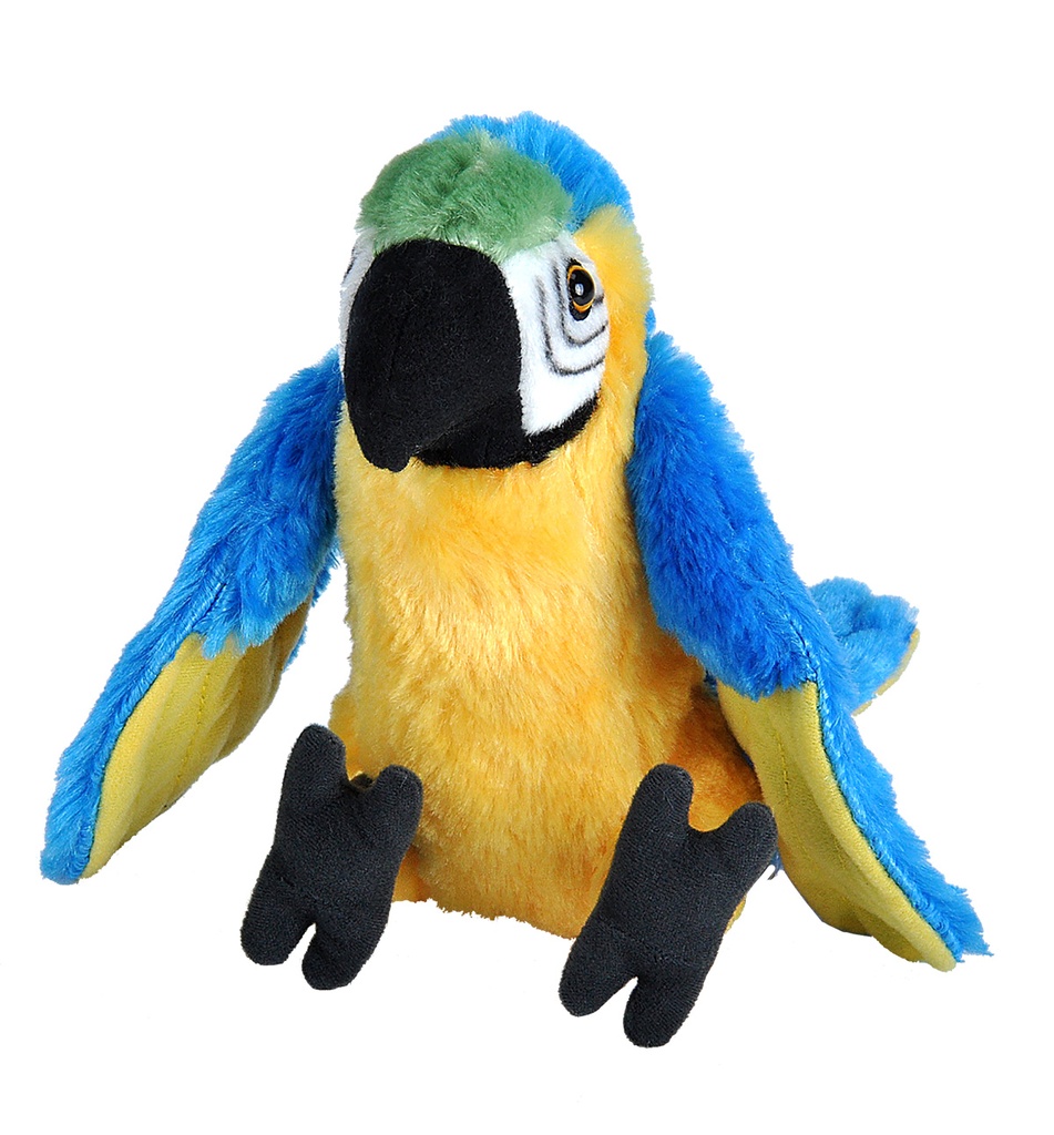 Ck-Mini Macaw Parrot 8