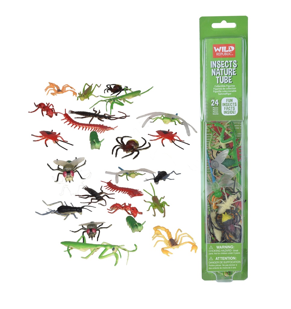 Tube Nature Insectes