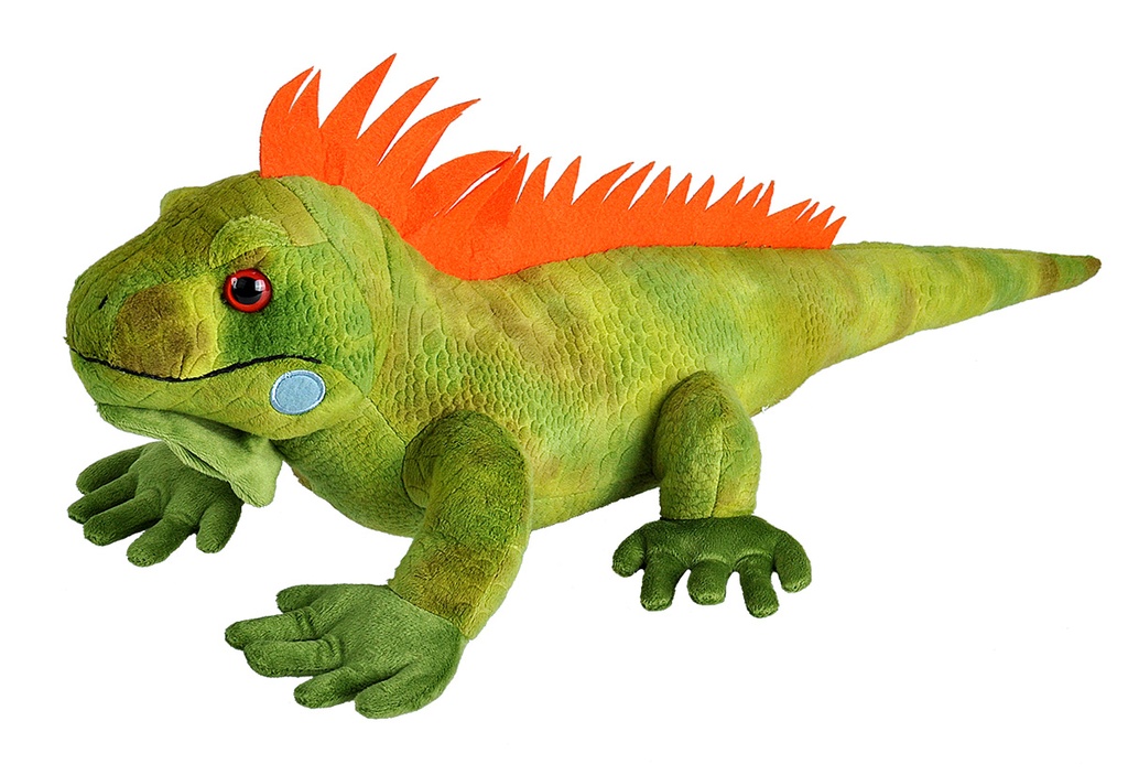 [53154] Ck Iguana 15