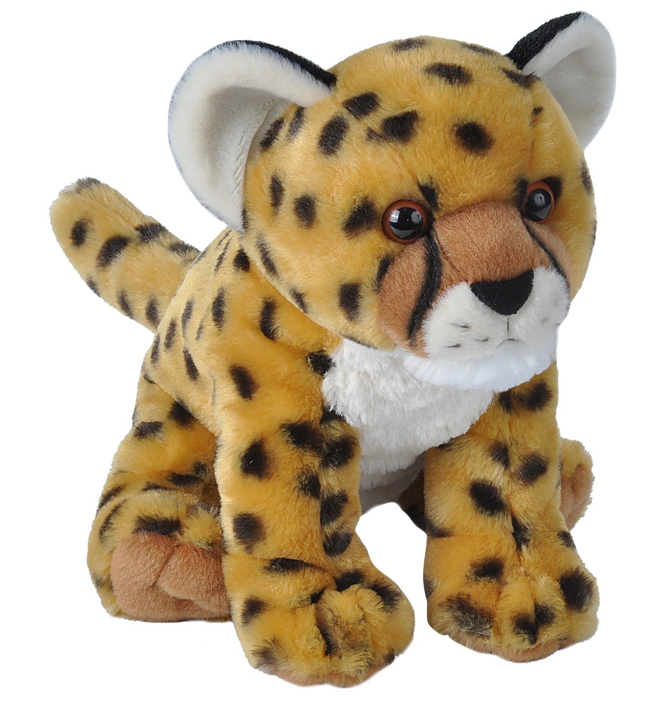 [53171] Ck Cheetah Cub