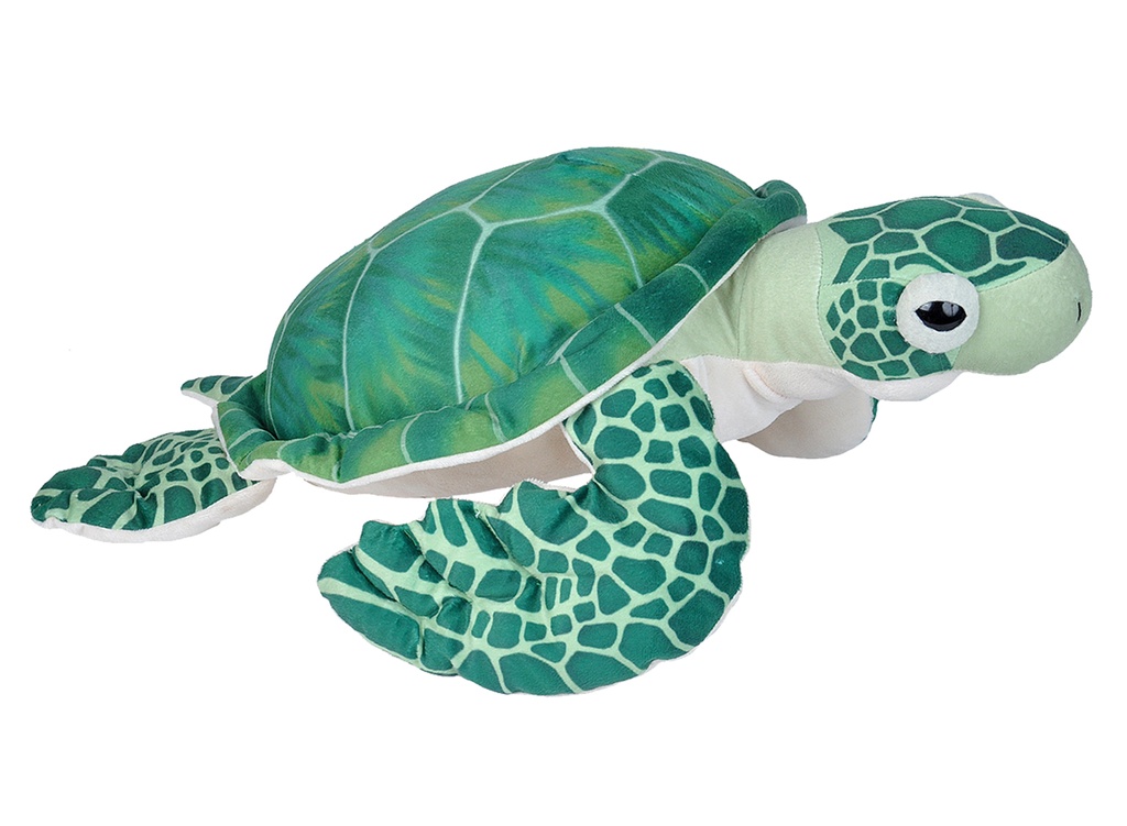 Living Green Sea Turtle