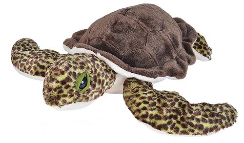 [53188] Ck Tortue De Mer Verte