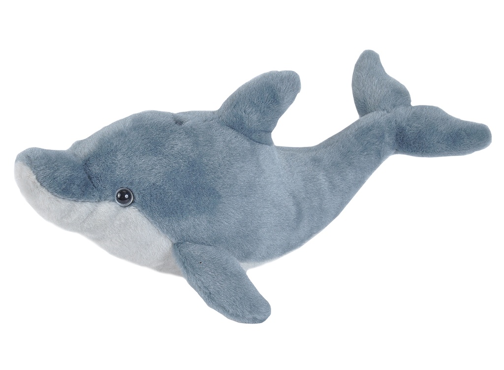 Ck-Mini Dolphin