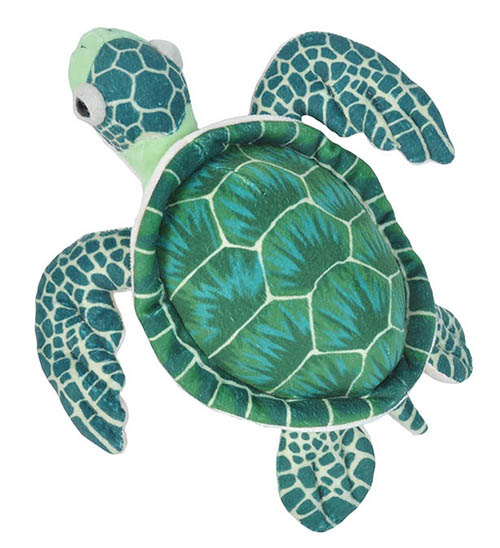 Ck-Mini Green Sea Turtle
