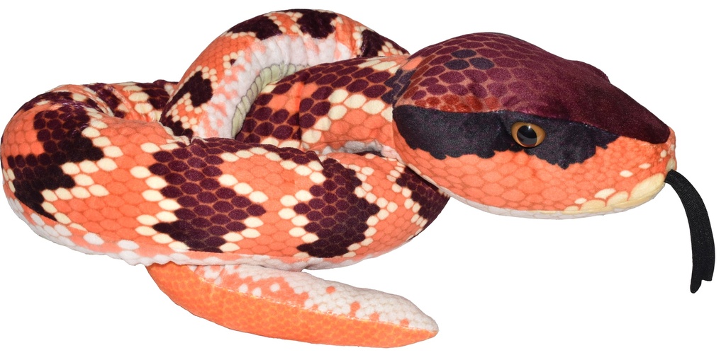[53206] Snake Eastern Cottonmouth Ii