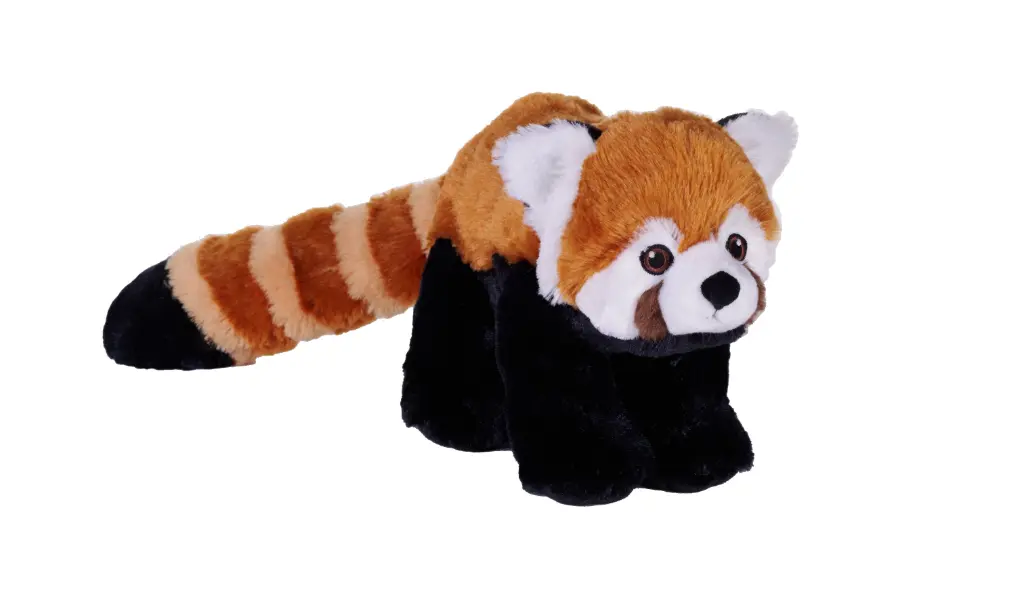 Ck Eco Red Panda