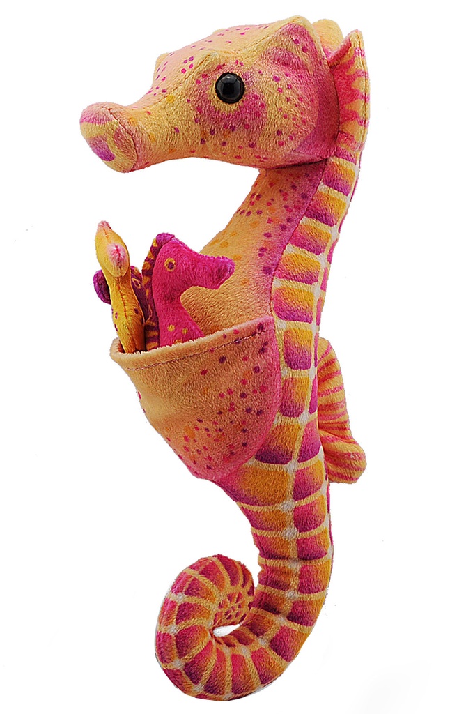Hippocampe Et Bebe 29 Cm