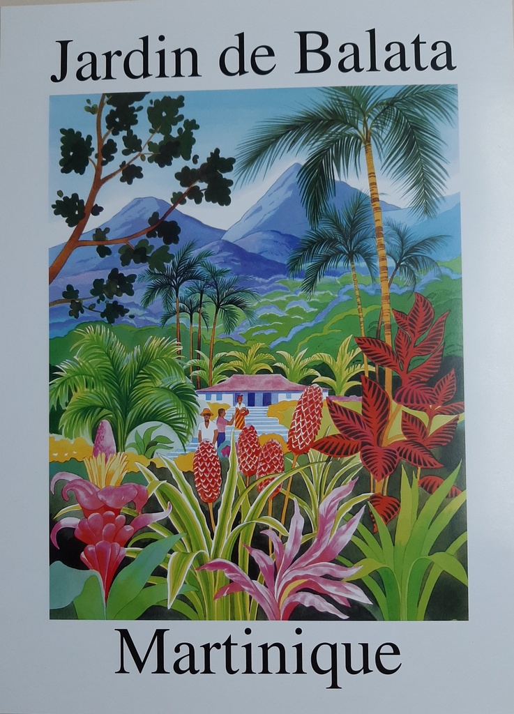 Affiche JDB Mm (35X50)