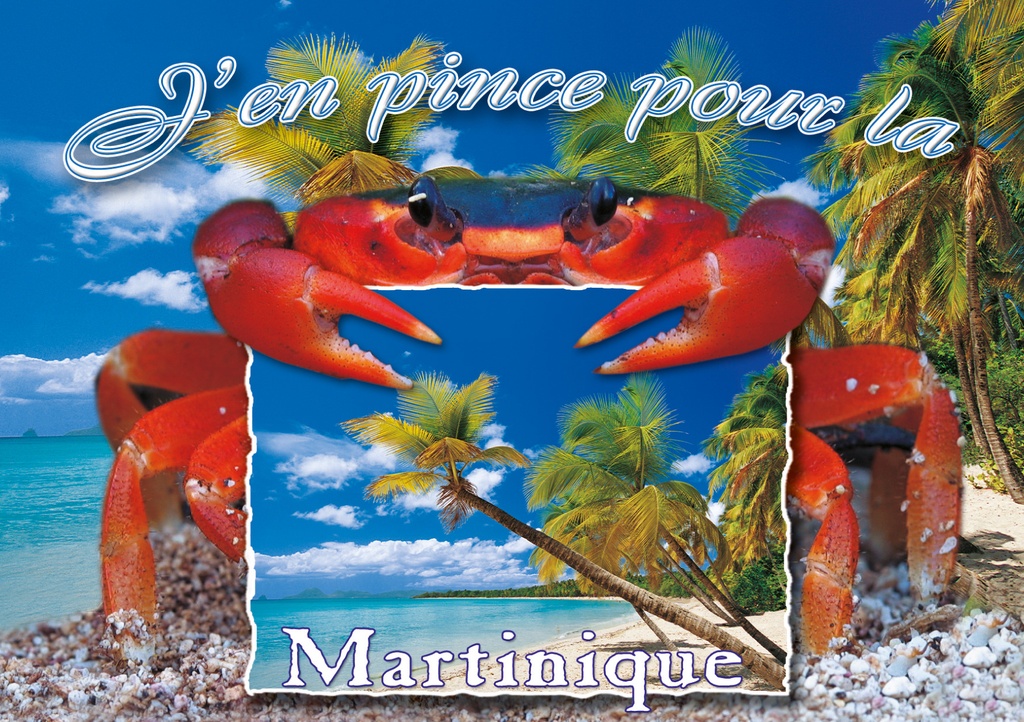 CP 10X15 MQ M279