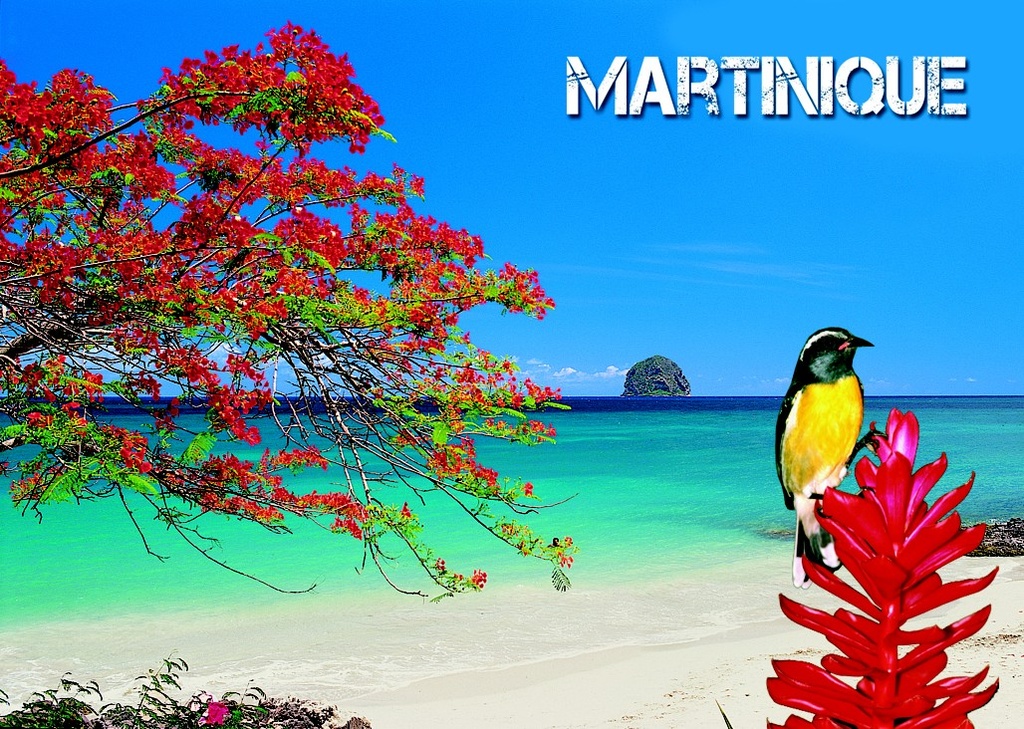 CP 12x17 MQ 3D Diamant/Sucrier M3D09