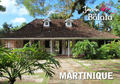CP 10X15 JDB - Maison De BalataMJB023