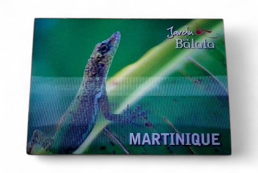 CP 10X15 3D JDB Anoli Sur Feuille BananierMJB3D003