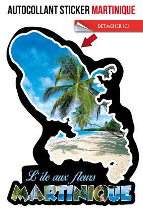 Cp Stick MQ Carte Photo Inscrut E Martinique