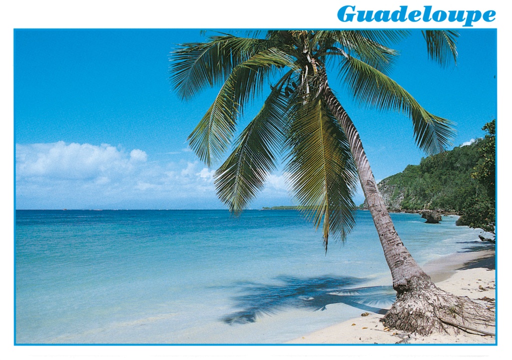 [64040] CP 10X15 GP G148