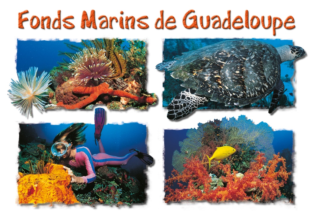 [64067] CP 10X15 GP G187