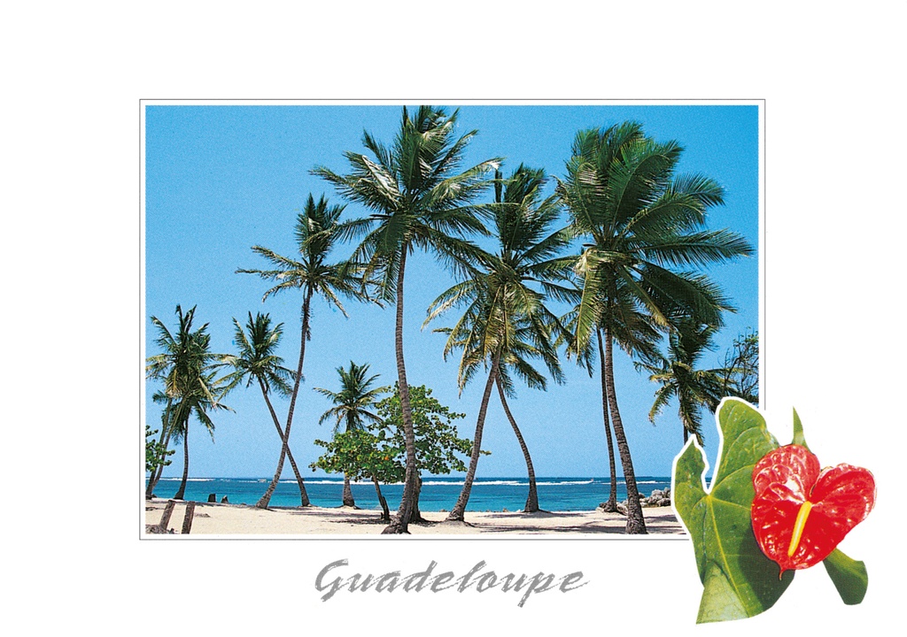 [64166] CP 10X15 GP BG10
