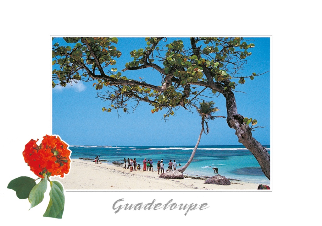 [64171] CP 10X15 GP BG15
