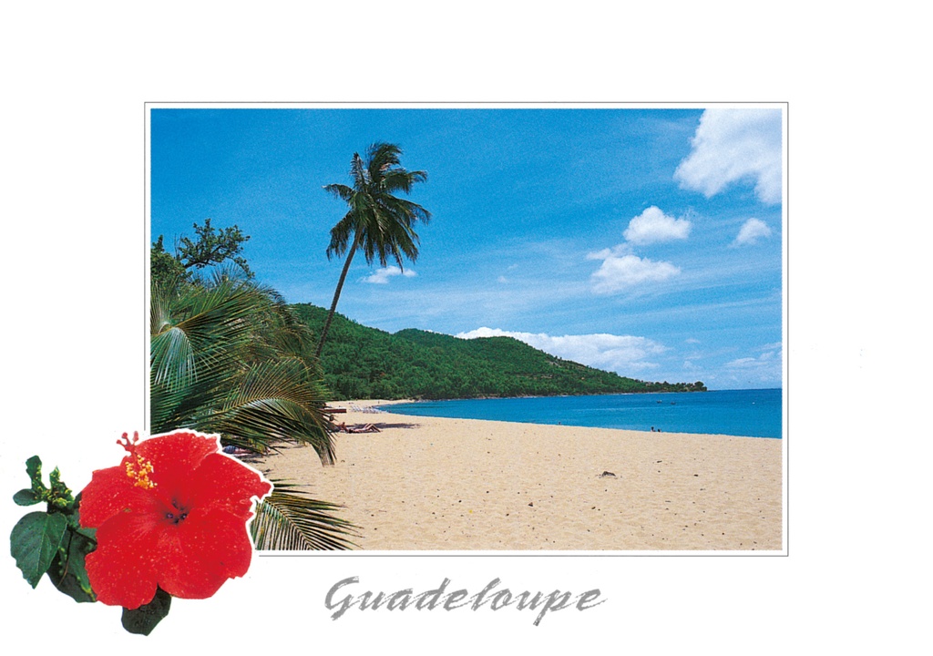 [64173] CP 10X15 GP BG17
