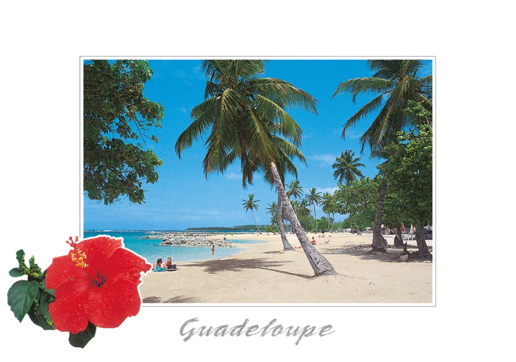 [64176] CP 10X15 GP BG20