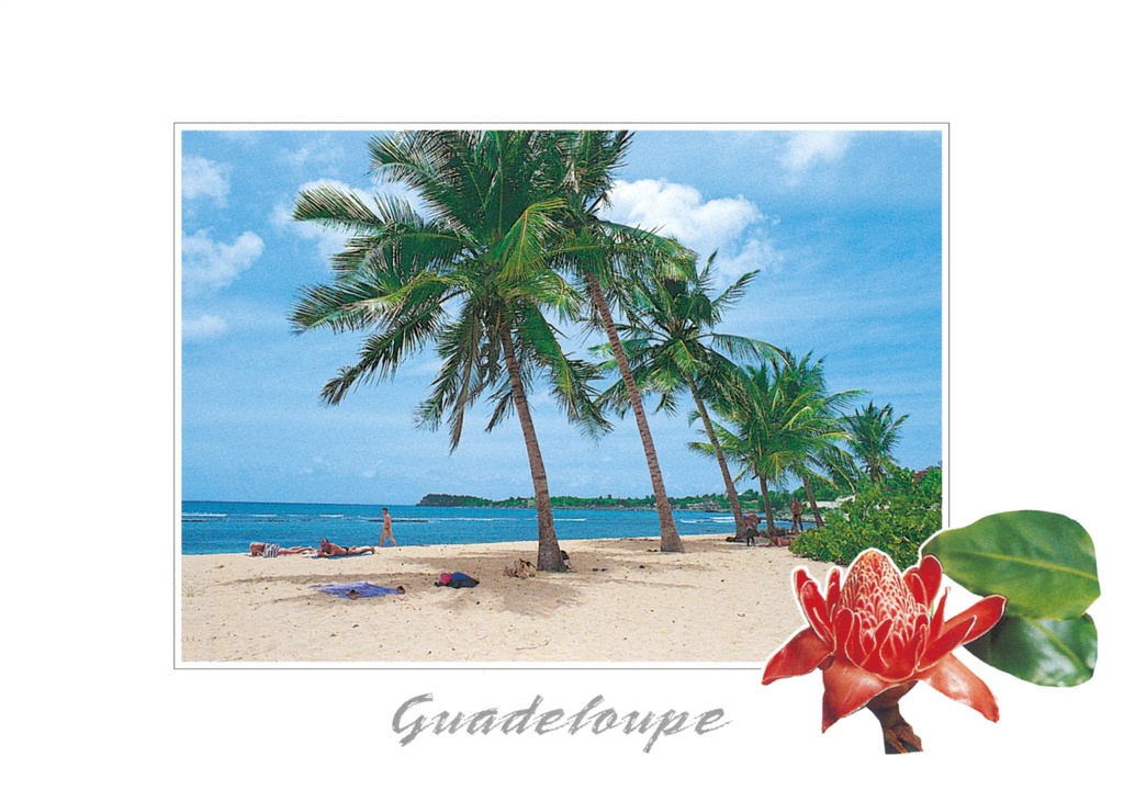 [64179] CP 10X15 GP BG23
