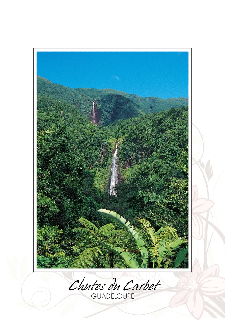 CP 10X15 GP BG40