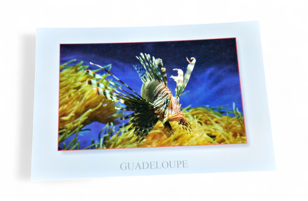 [64237] CP 10X15 GP LP1161