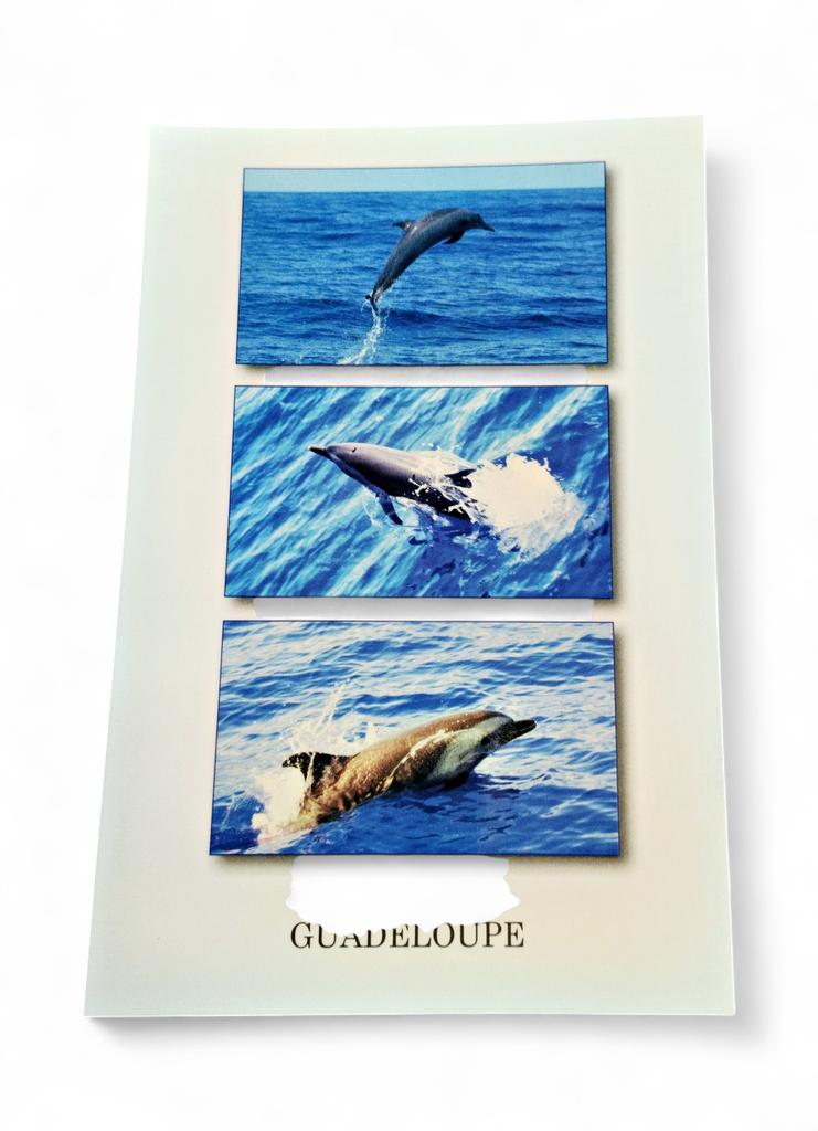 CP 10X15 GP LP1189