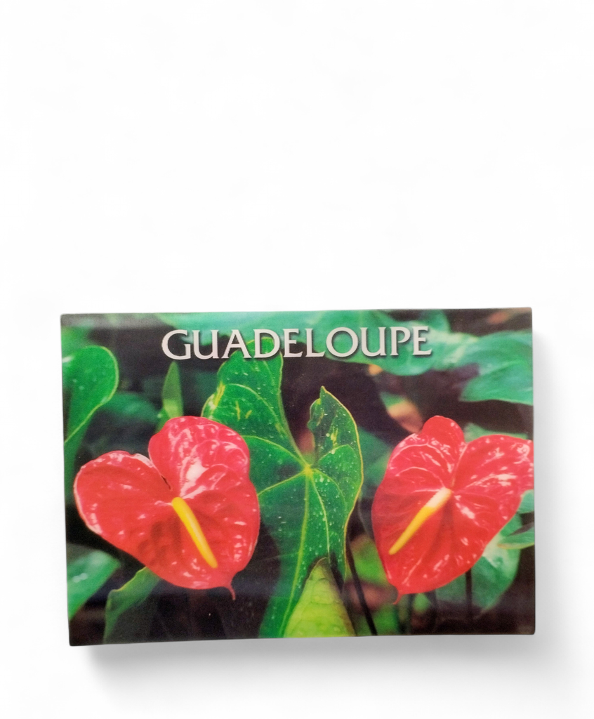 CP 12 X 17 GP 3D Anthurium G3D07