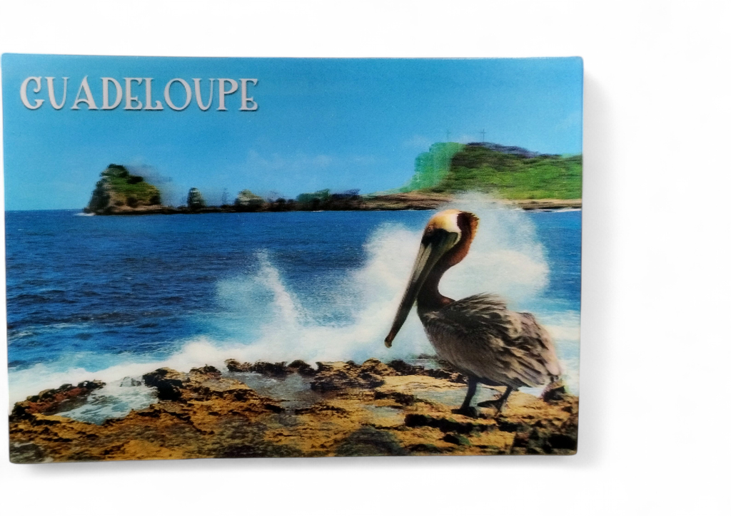[64288] CP 12 X 17 GP 3D Pointe des chateaux G3D11