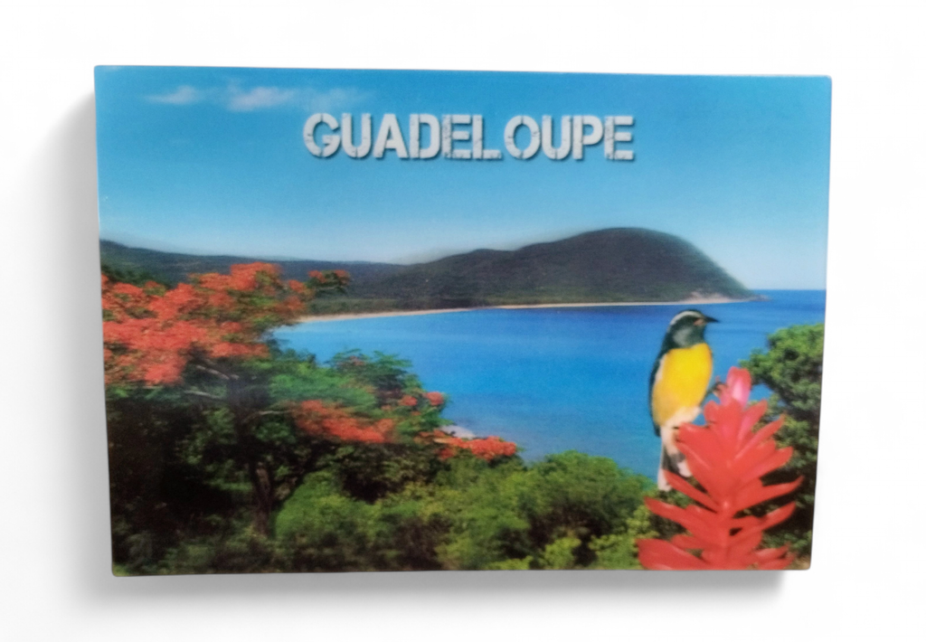 CP 12 X 17 GP 3D Grande Anse G3D12