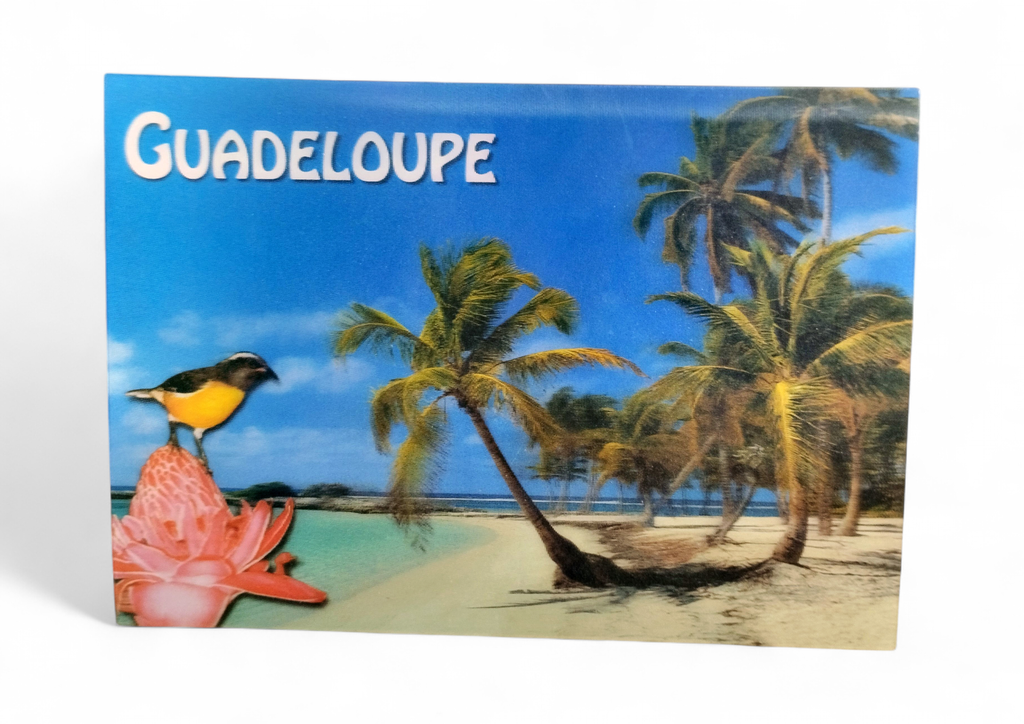 CP 12 X 17 GP 3D PLAGE de ste-Anne G3D15