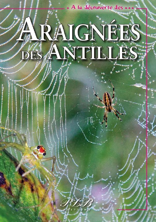 Araignees Des Antilles