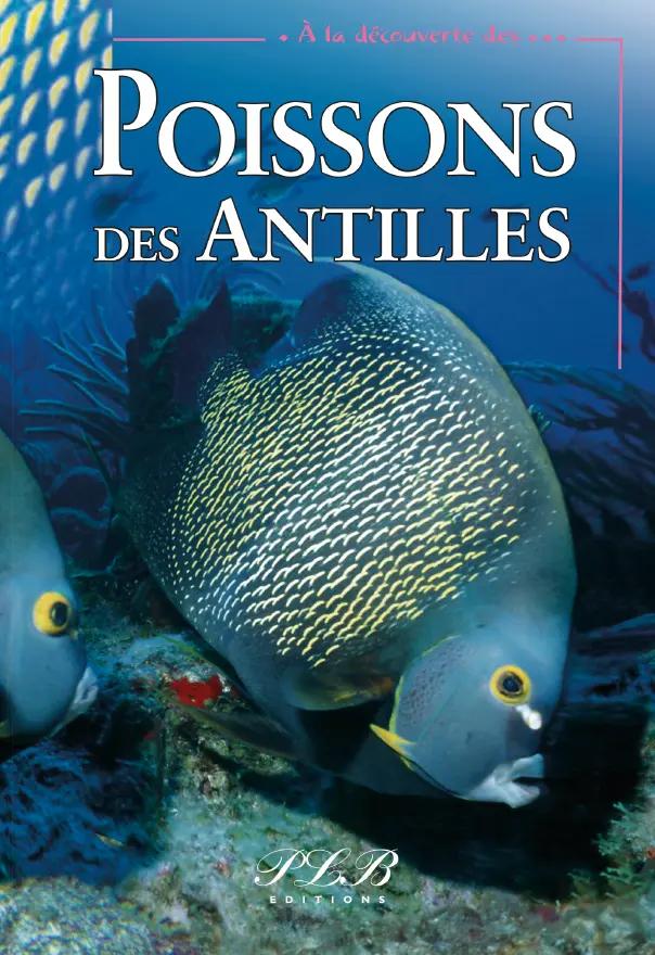 [66058] Poissons Des Antilles