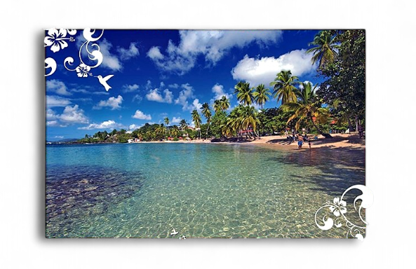 Set de Table Anse Figuier