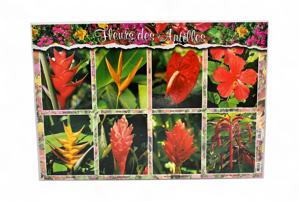 Set de Table GP Allee Dumanoir / Fleurs STG39