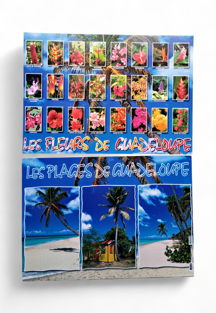 [68015] Set de Table GP Fleurs De Guadeloupe / Plages STG45