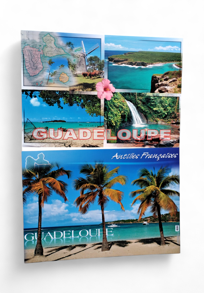 Set de Table GP Plage + Cocotiers / 4 Photos STG47
