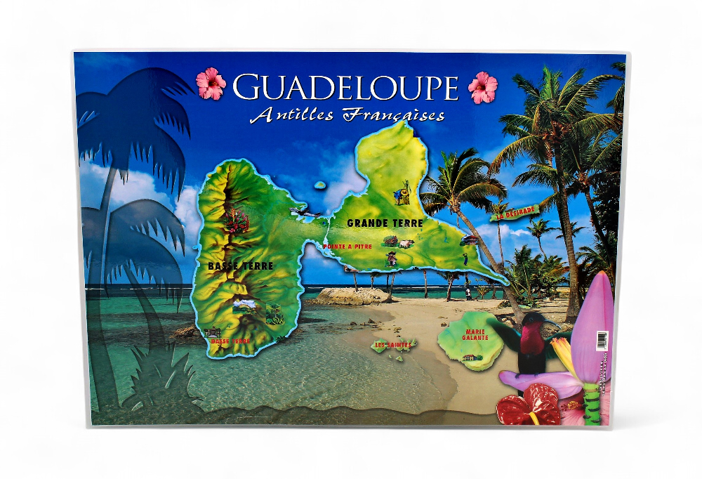 Set de Table GP Rose De Porcelaine + Colibri / Cocktail STG48