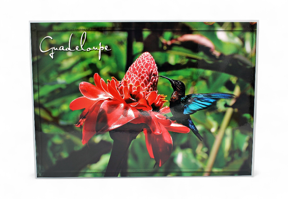 Set de Table GP Plage Cocotier / Flamboyants + 4 Photos STG49