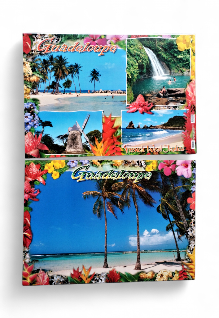 [68021] Set de Table GP Plage 4 Cocotiers / 4 Photos Moulin STG51