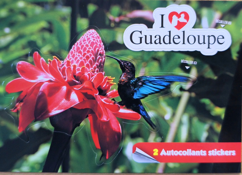 [64317] Cp 10x15 GP Sticker Rose+Colibri 