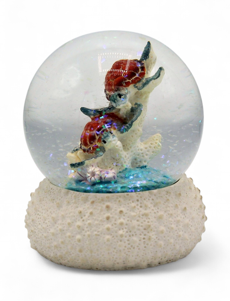 Boule de Neige Tortue sur oursin