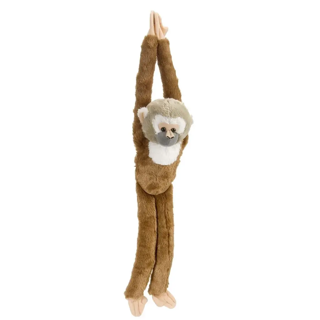 [53287] HANGING SQUIRREL MONKEY