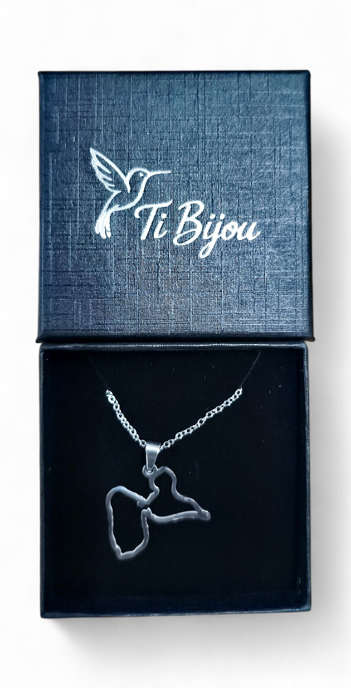 Collier acier inoxydable Carte ajouré