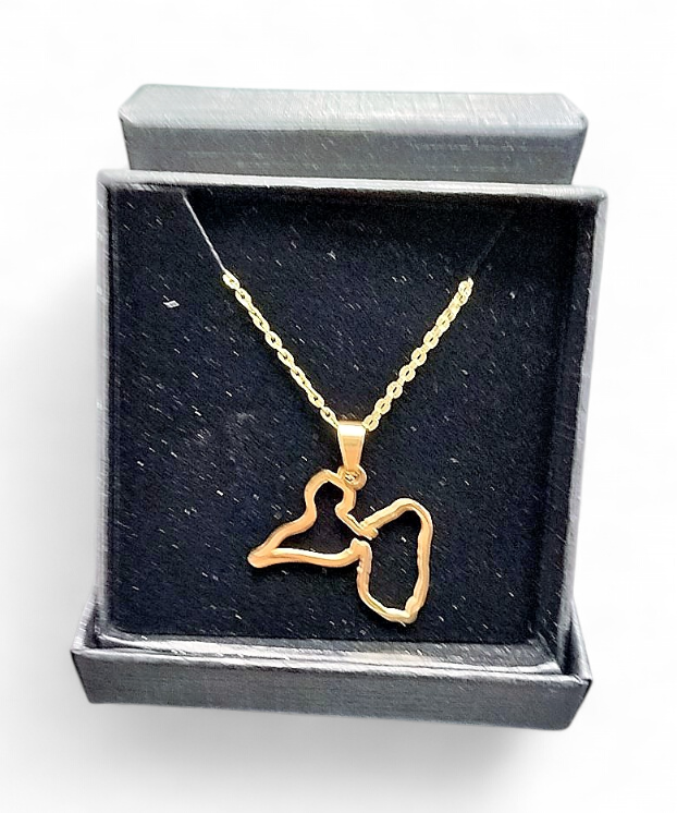 Collier acier inoxydable Carte ajouré