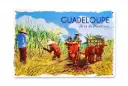 Affiche Métal 20X30 - Coupeur de canne